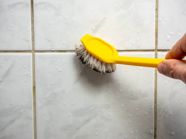 Best Mold Cleaning Services  in Zellwood, FL
