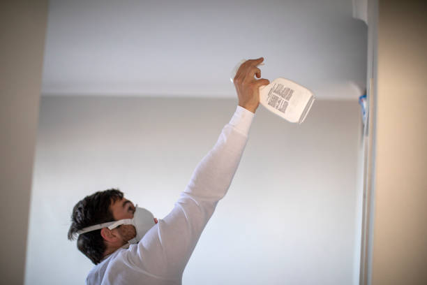 Best Commercial Mold Removal  in Zellwood, FL