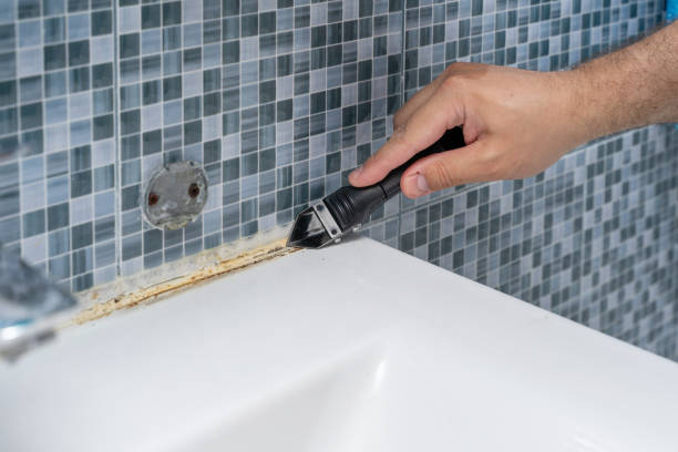 Best Mold Removal Near Me  in Zellwood, FL
