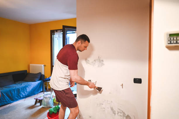Certified Mold Removal in Zellwood, FL